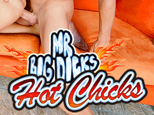 Mr Big Dicks Hot Chicks