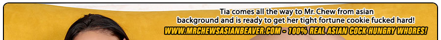 www.MrChewsAsianBeaver.com